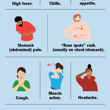 Typhoid fever home treatment